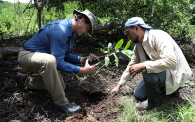 FUNDEMAS promueven la sostenibilidad empresarial con “Biodiversity Check”